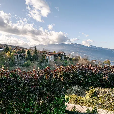 Paramythia - παραμυθία, Traditional 팔라이오스 판텔레이몬