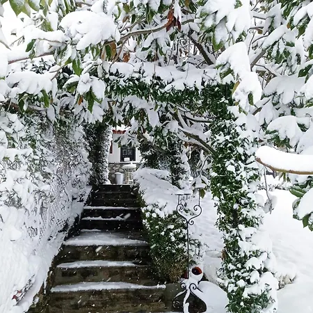 Paramythia - παραμυθία, Traditional 아파트 *
